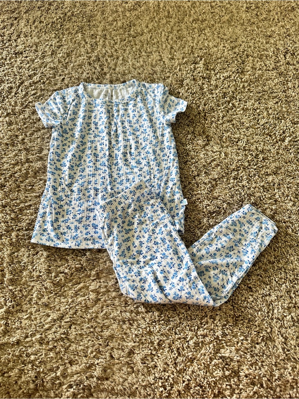 Posh Peanut Short Sleeve Pajama Set